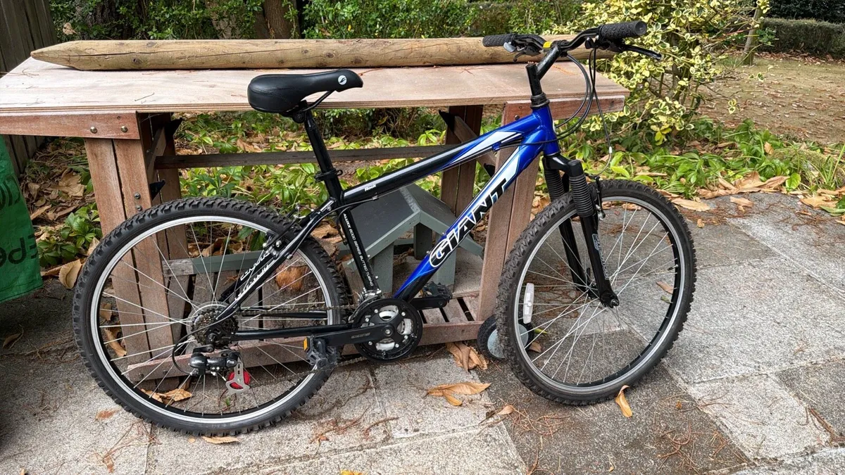 Giant Rock Mountain Bike