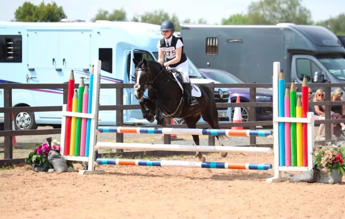 13.2hh Jumping Pony - Image 3