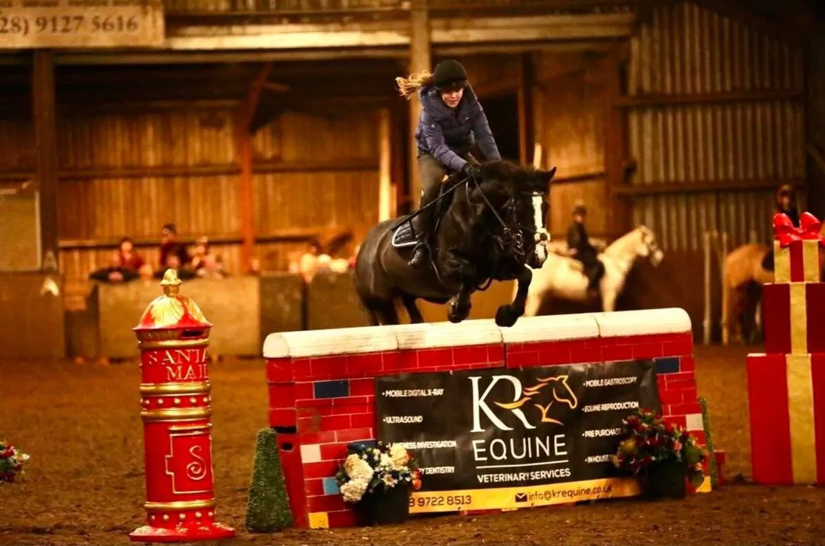 13.2hh Jumping Pony - Image 1