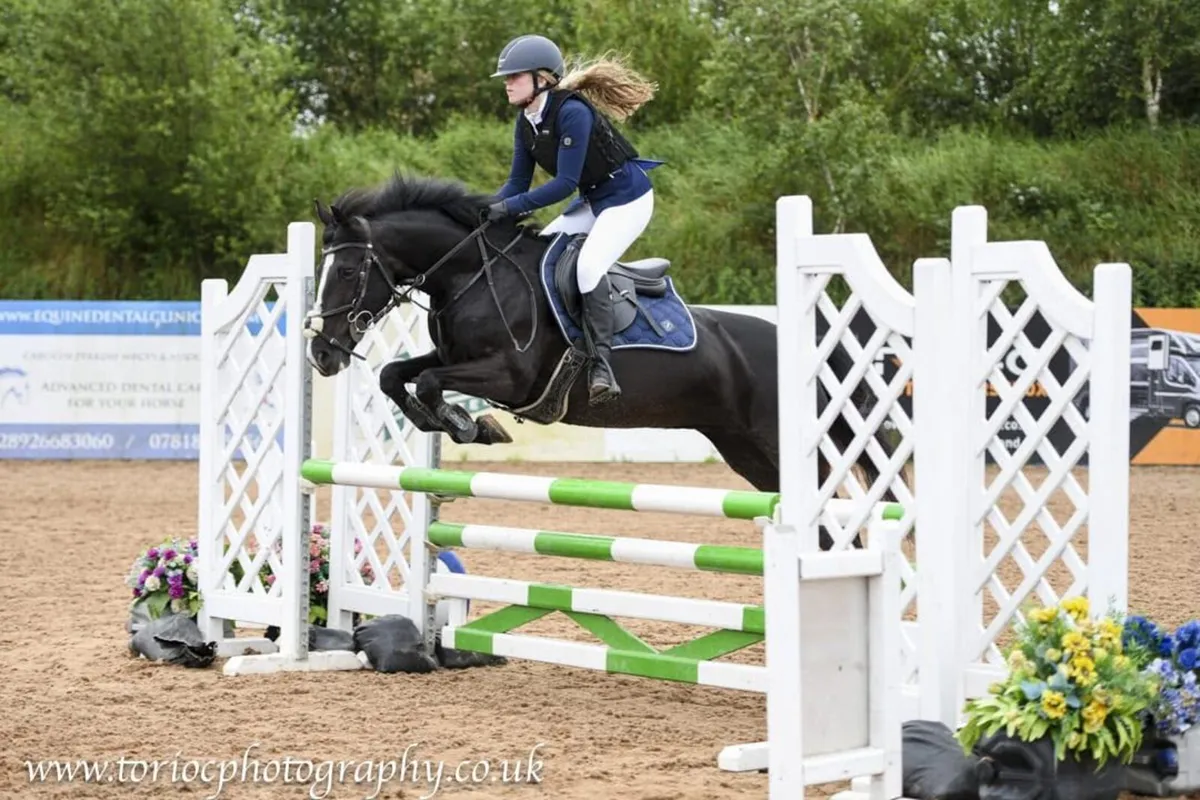 13.2hh Jumping Pony - Image 4