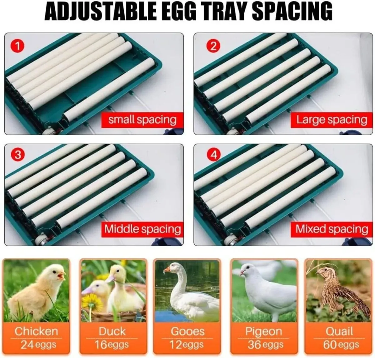 Egg Incubator 48 Egg Automatic Turner - Image 3