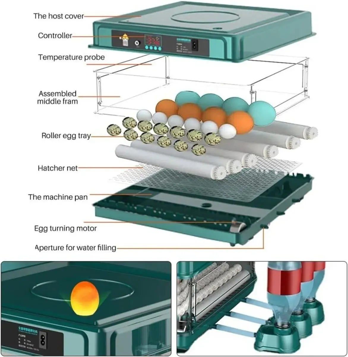 Egg Incubator 48 Egg Fully Automatic - Image 4