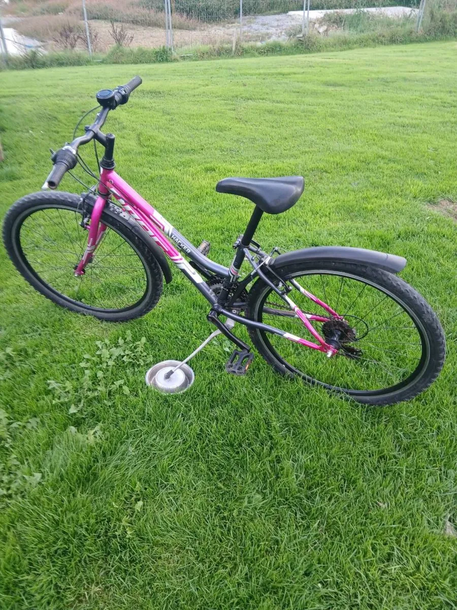 Bike - Image 1