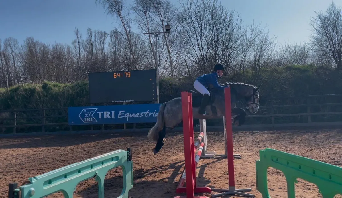 All-Rounder Pony - Image 3
