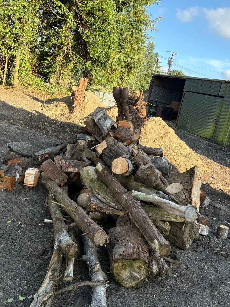Uncut firewood - Image 2