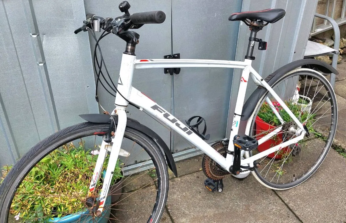 Fuji Absolute - Image 2