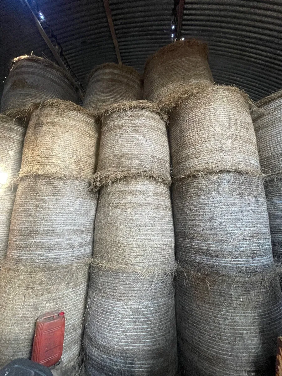 Hay For Sale - Image 1