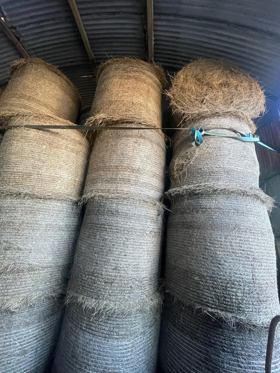 Hay For Sale - Image 2