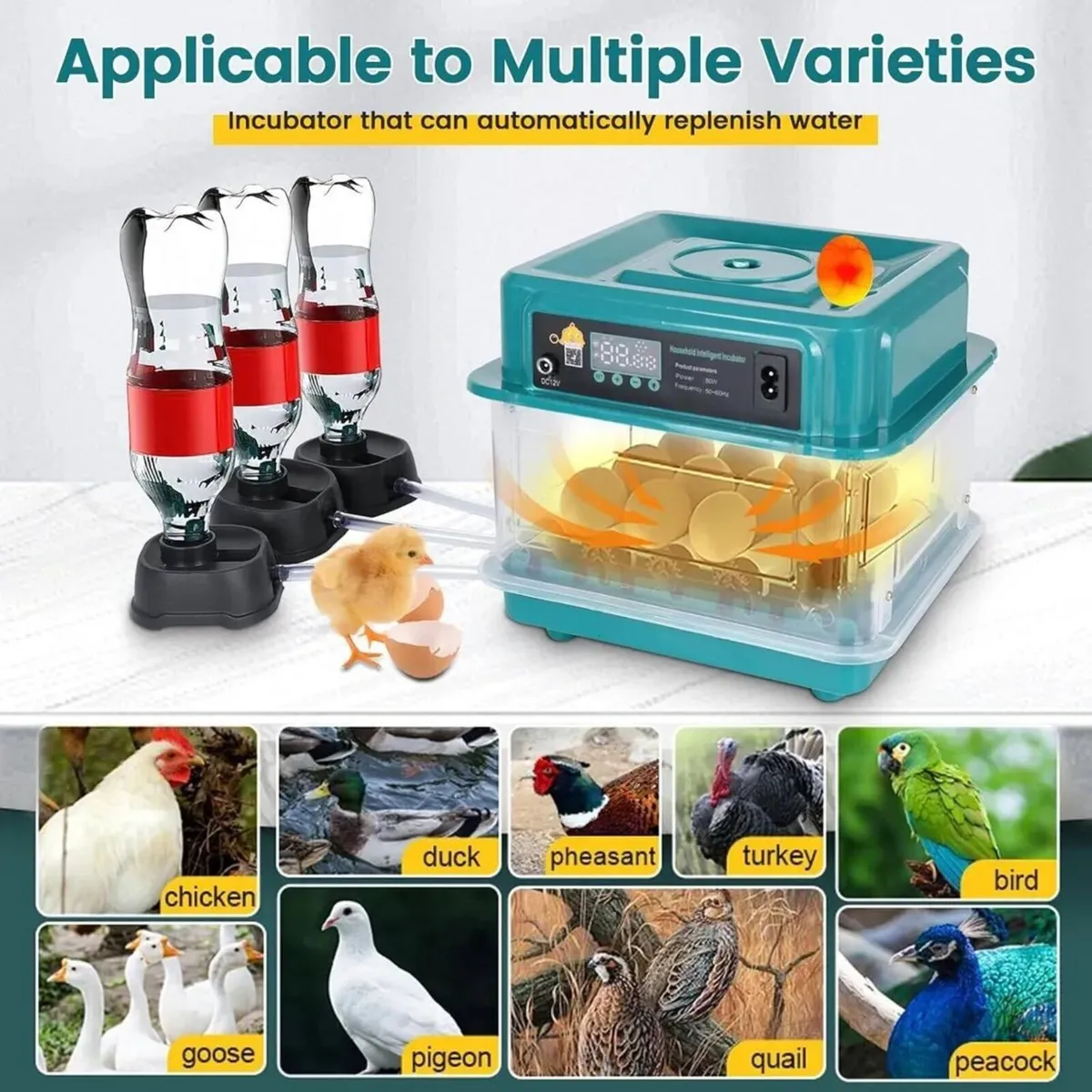 Egg Incubator 20 Egg Smart Hatching Machine - Image 3