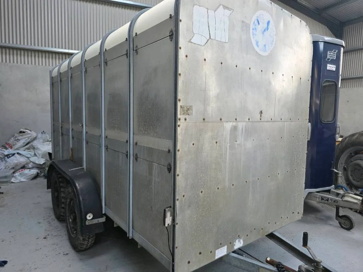 Ifor Williams Cattle Trailer - Image 2