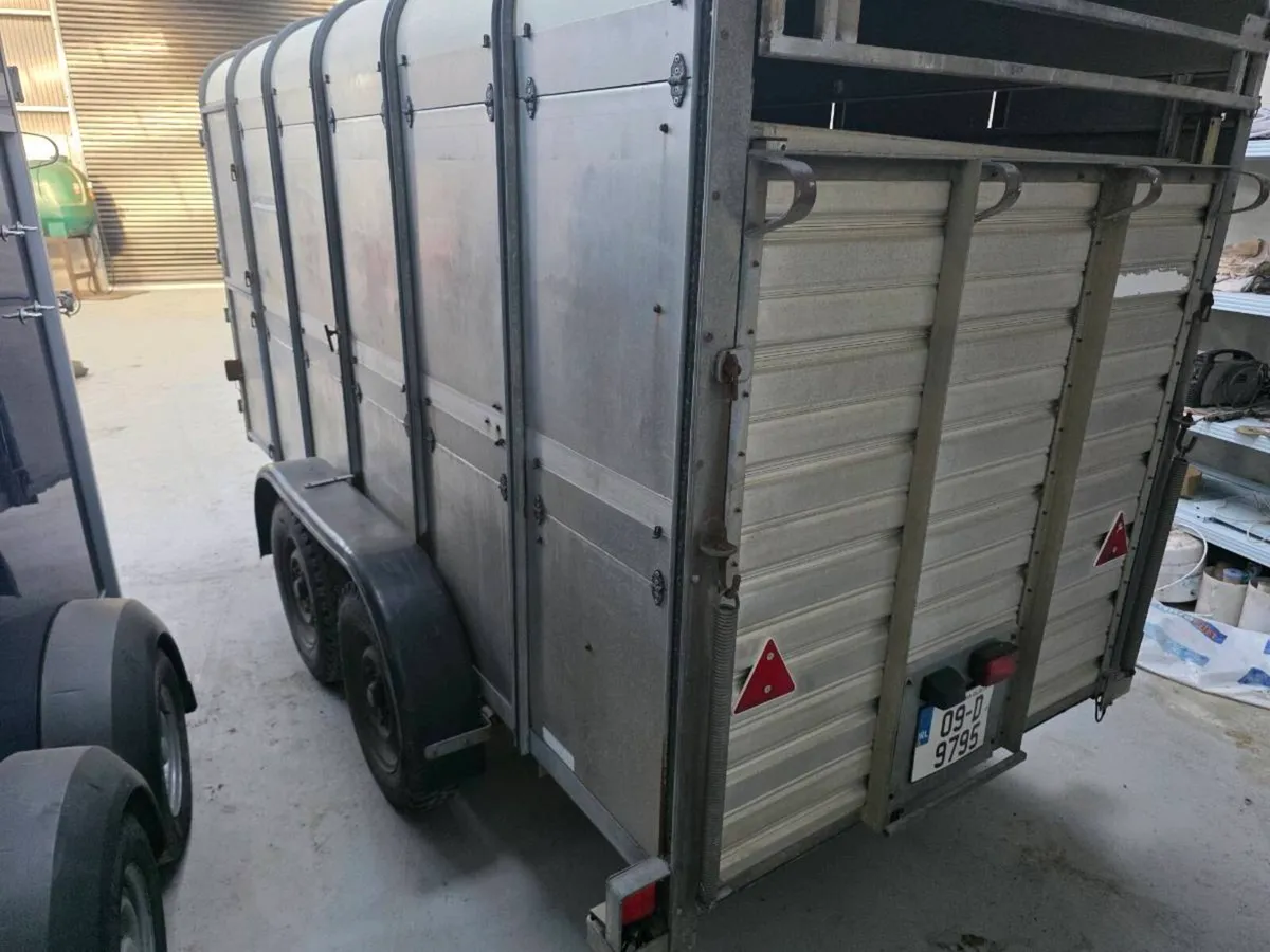 Ifor Williams Cattle Trailer - Image 4