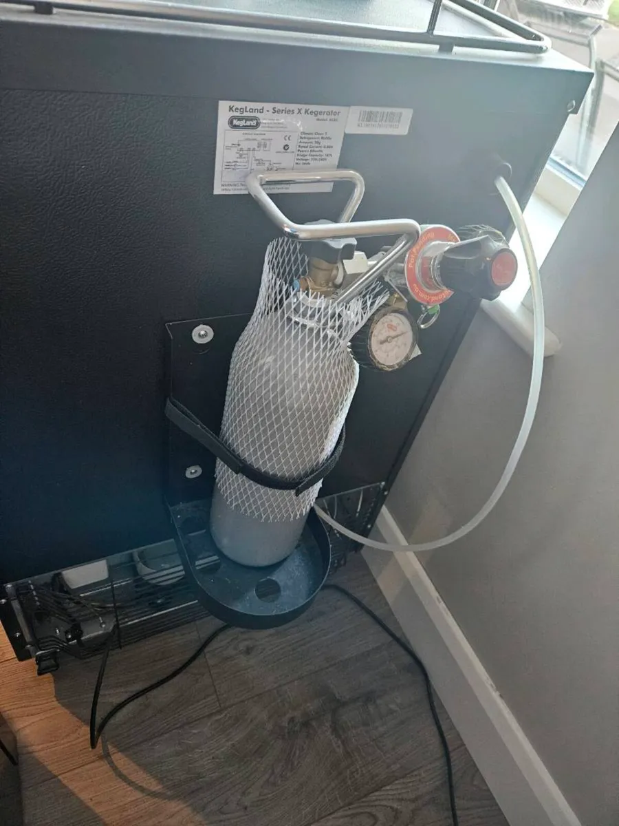 Kegarator - Image 4