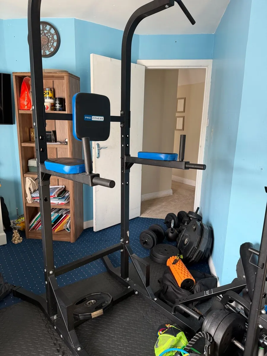 Pro fitness tower gym