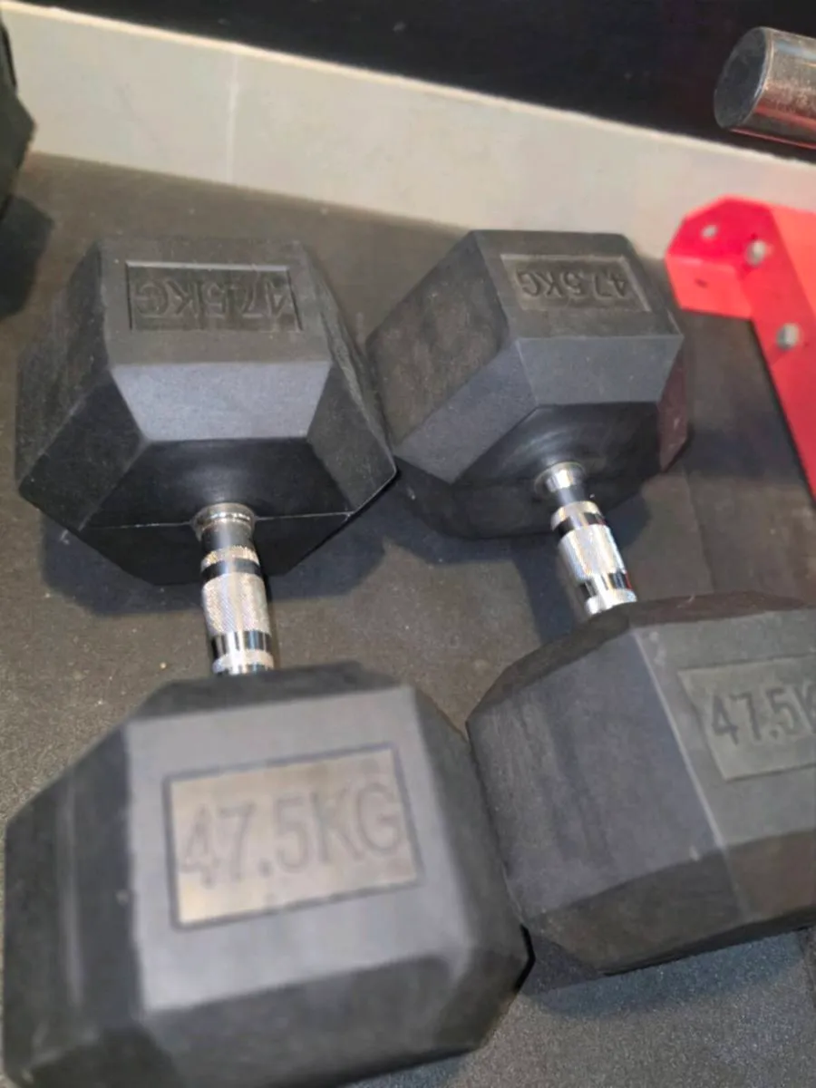 47.5kg Rubber Hex Dumbells - Image 2