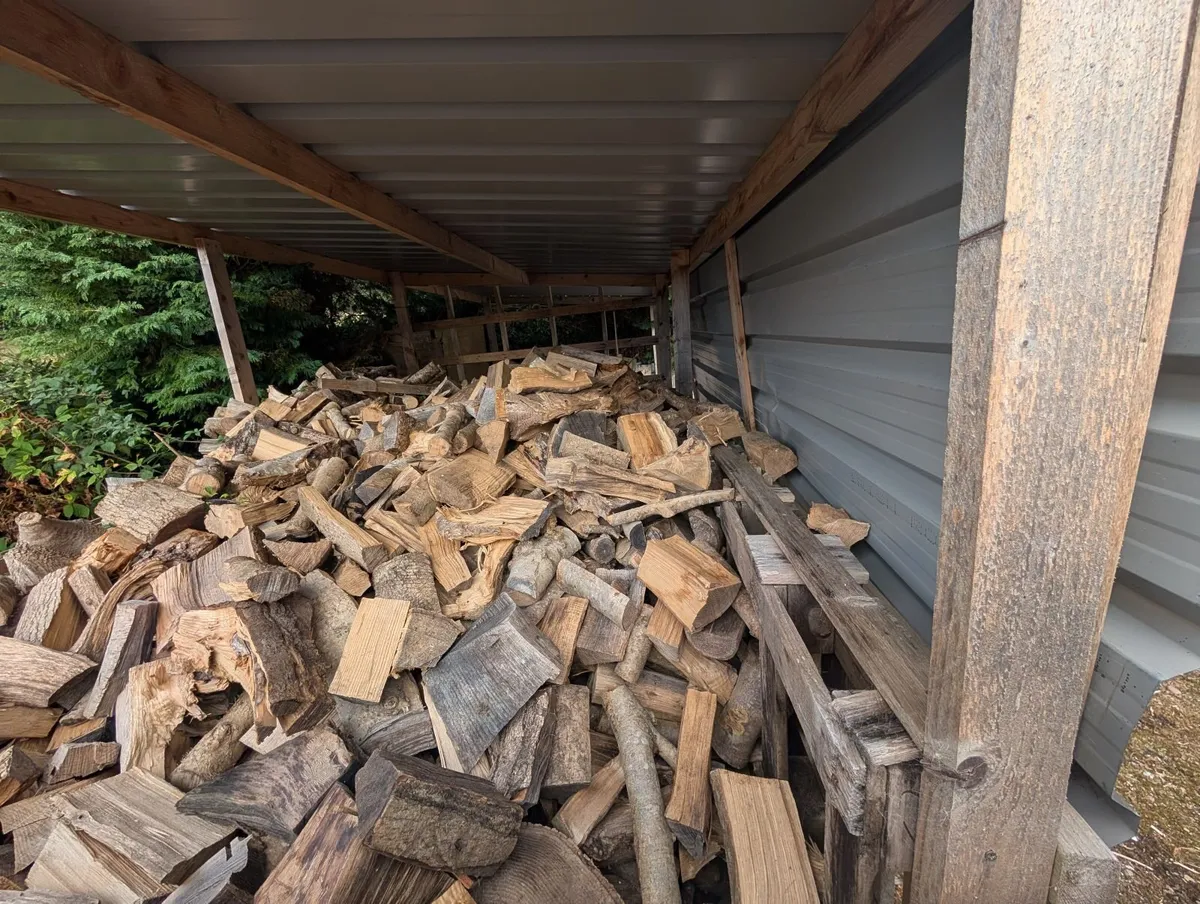 Ash Firewood - Image 2