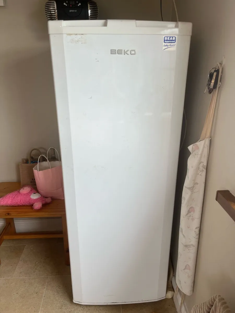 Free standing Fridge - Image 1
