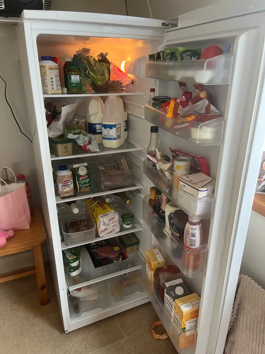 Free standing Fridge - Image 2