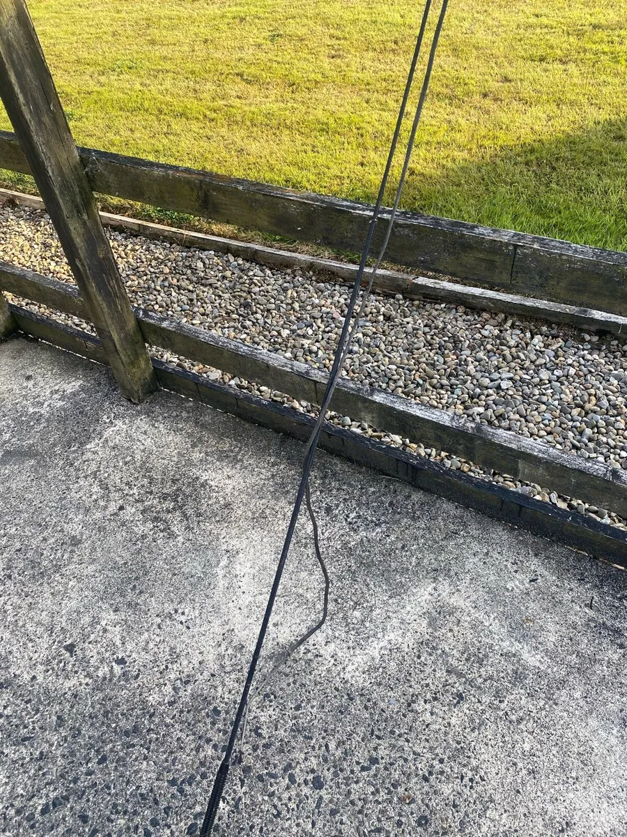 Horse essentials - Image 1