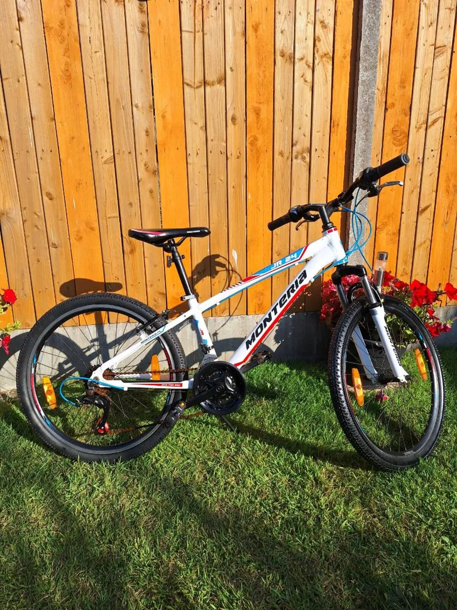 Mountain bike