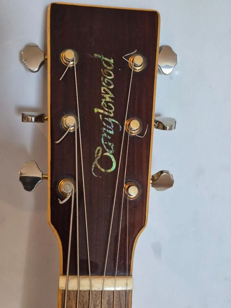 Acoustic guitar - Tanglewood, Jumbo, Semi - Image 2