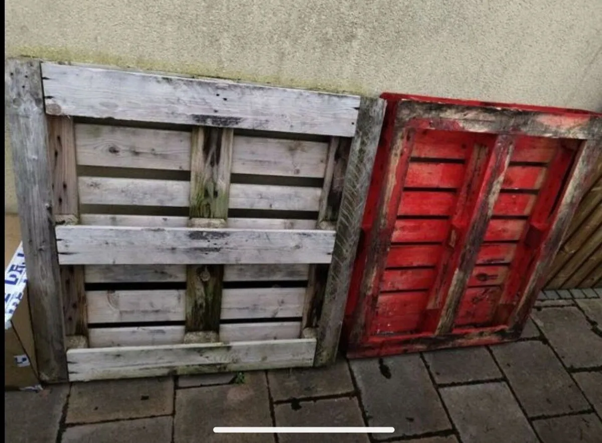 Free Pallets - Image 1
