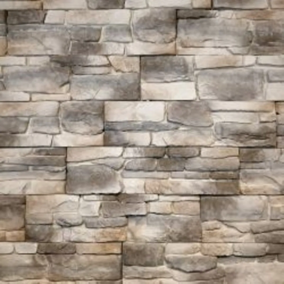 Koral - Image 3