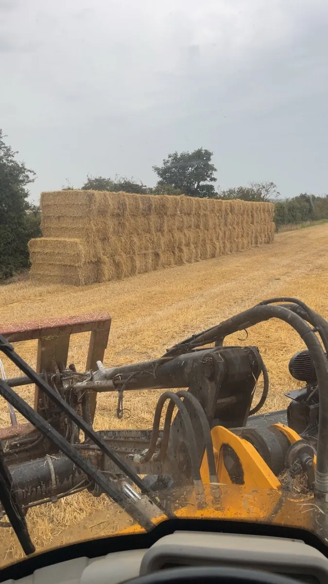 Spring barley straw