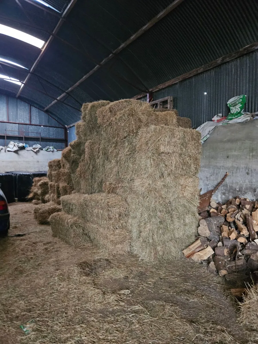 Round bale silage. ORGANIC x 3 years - Image 2