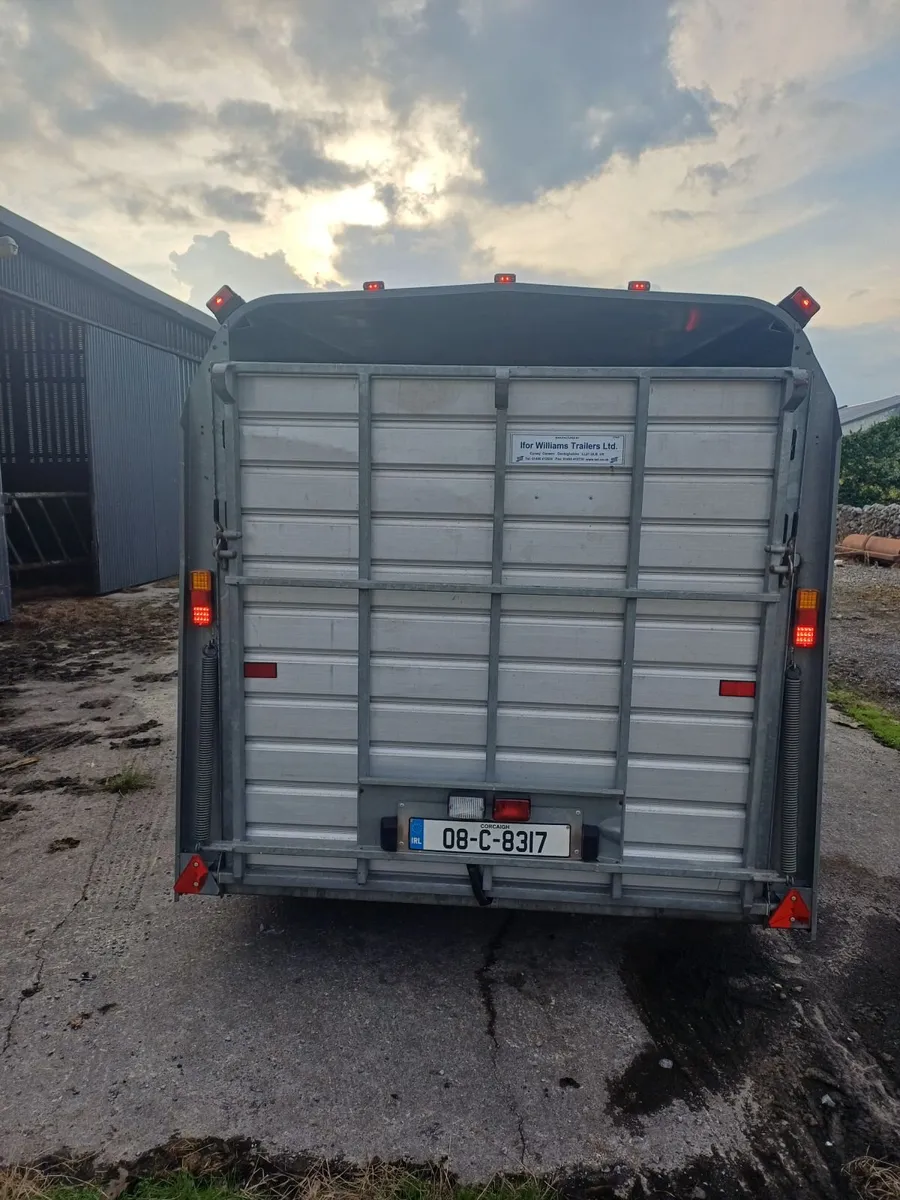 Cattle trailer - Image 2
