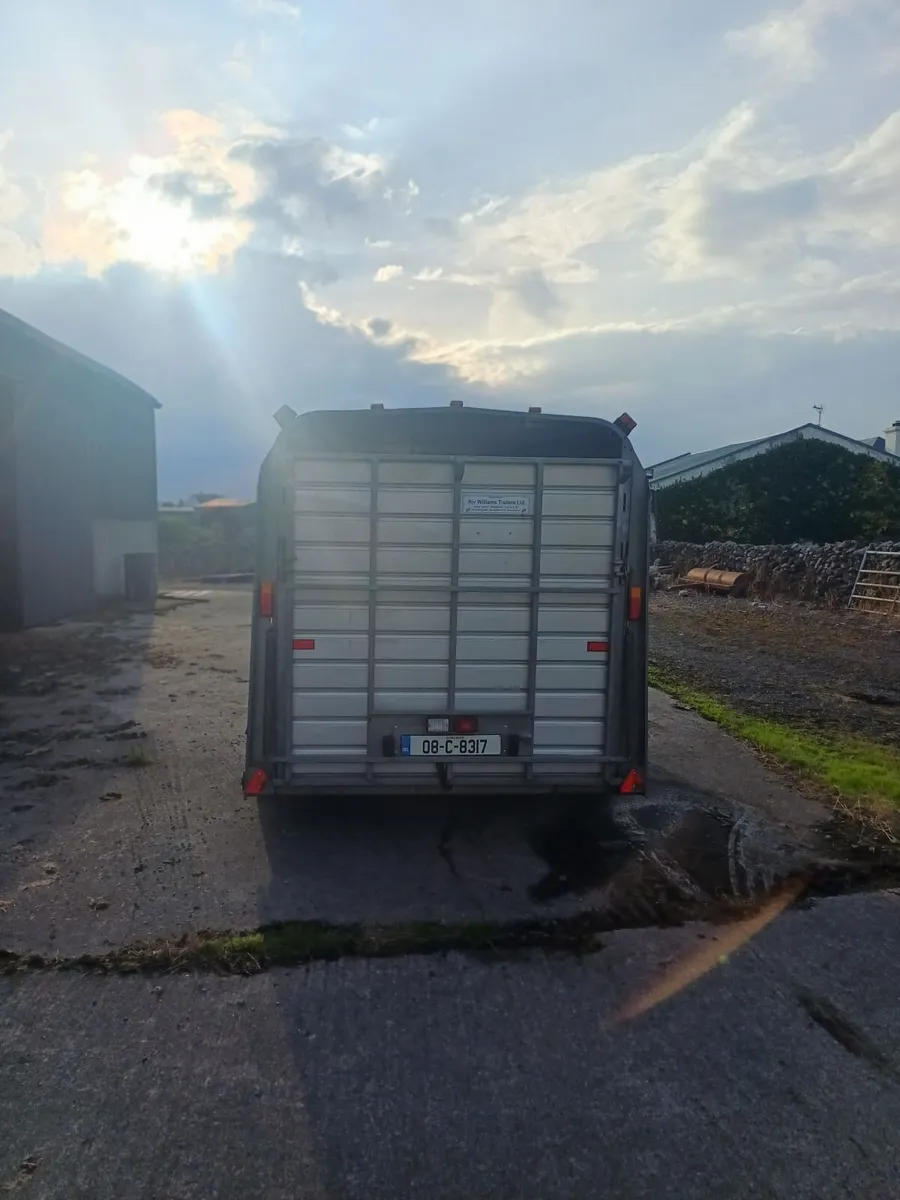 Cattle trailer - Image 4