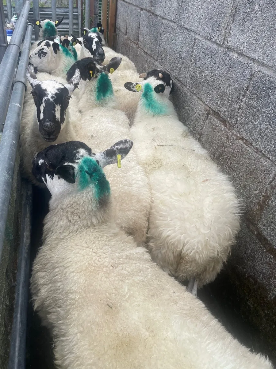 Farming - Image 4