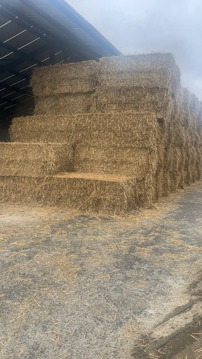 Wheaten straw 8x4x3 - Image 1