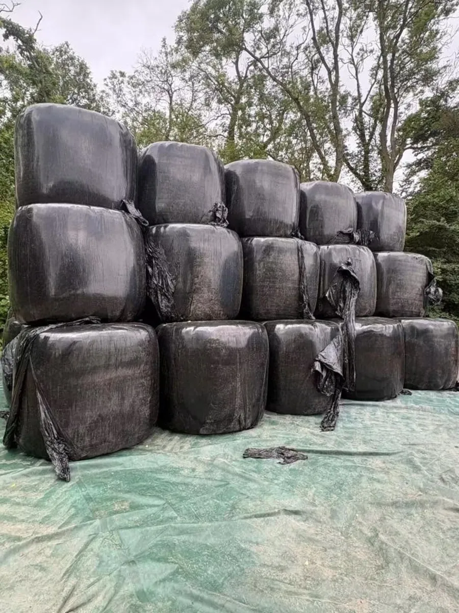 Round bales of silage available - Image 1