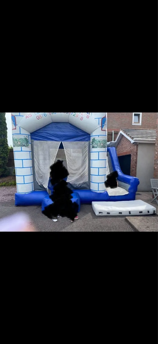 Bouncy castle with slide - Image 2