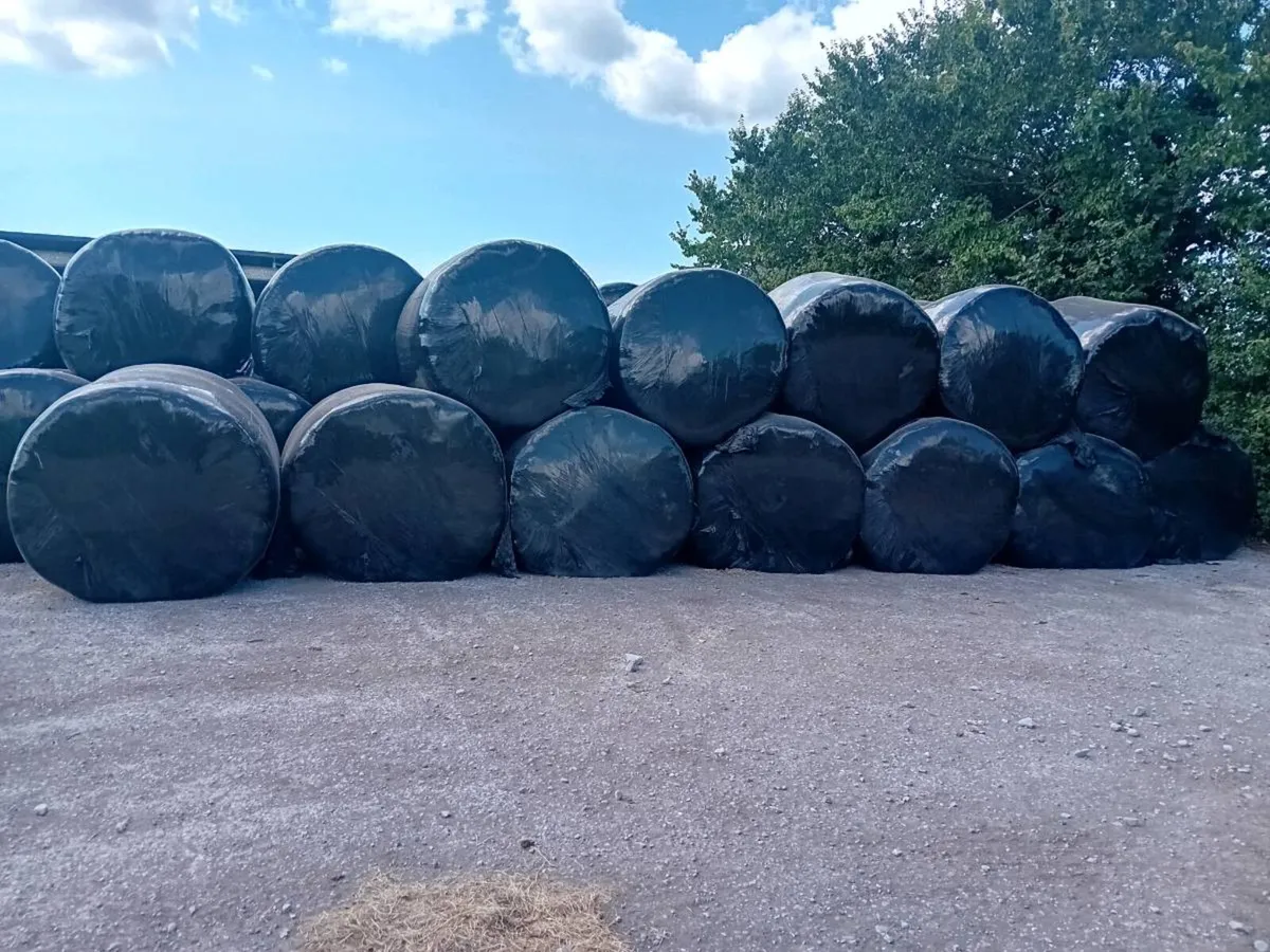 Silage bales - Image 1