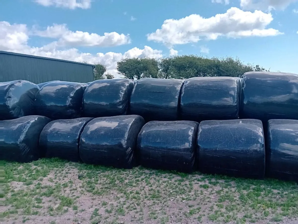 Silage bales - Image 2