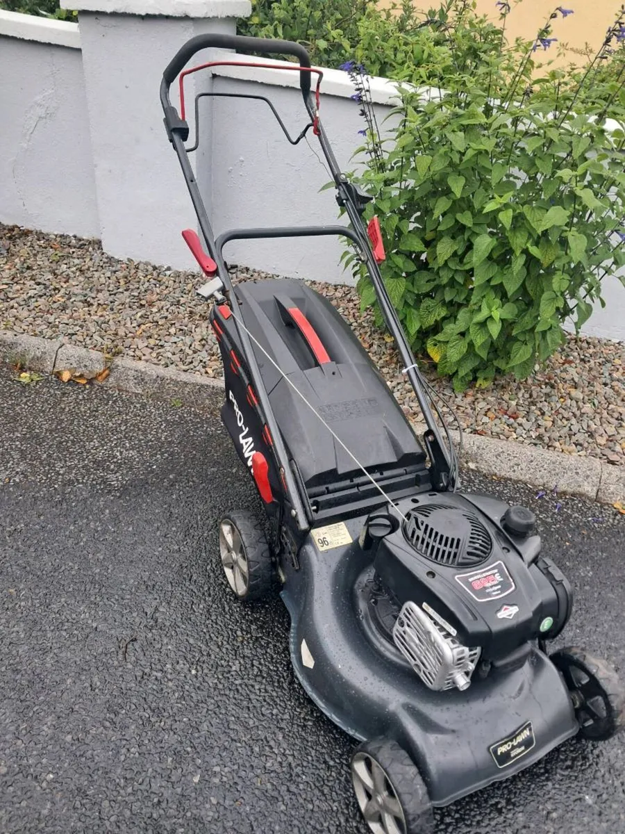 Lawnmower - Image 1