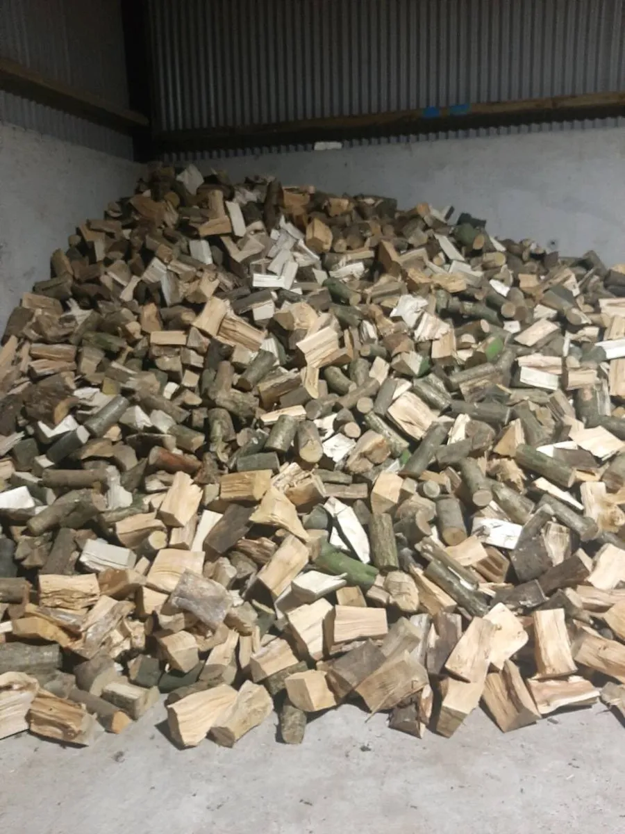 Hardwood - Image 2