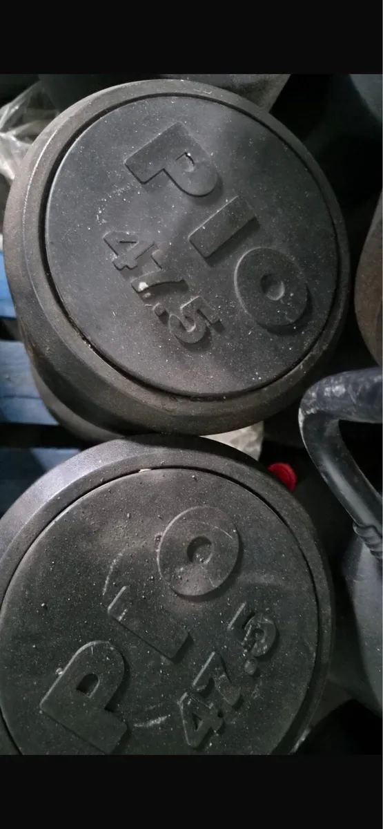 DUMBBELLS €2 PER KGS SIZE IN PICS - Image 2