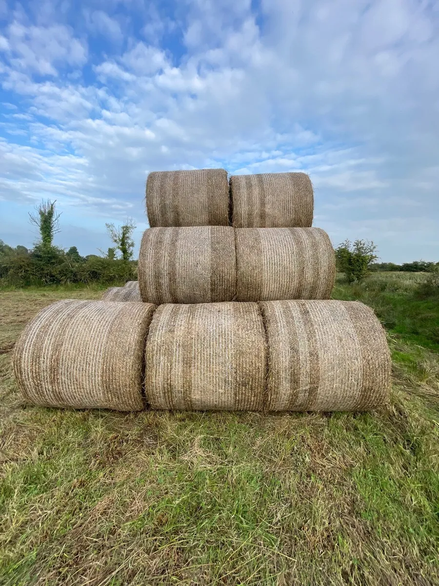 Bedding - Image 2