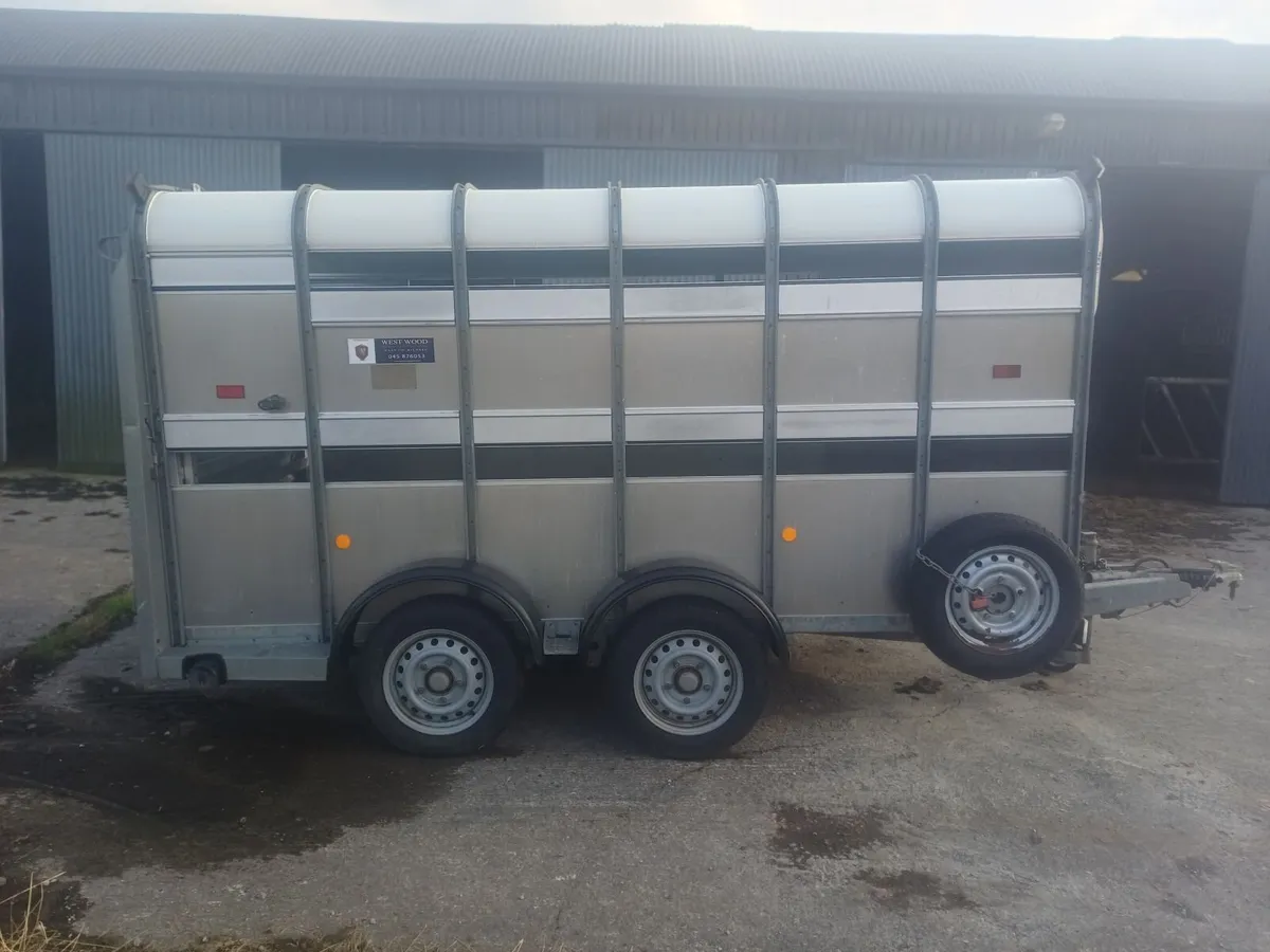 Cattle trailer - Image 4