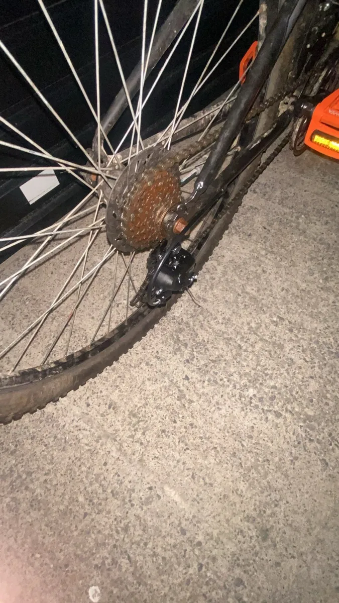 MTB - Image 1