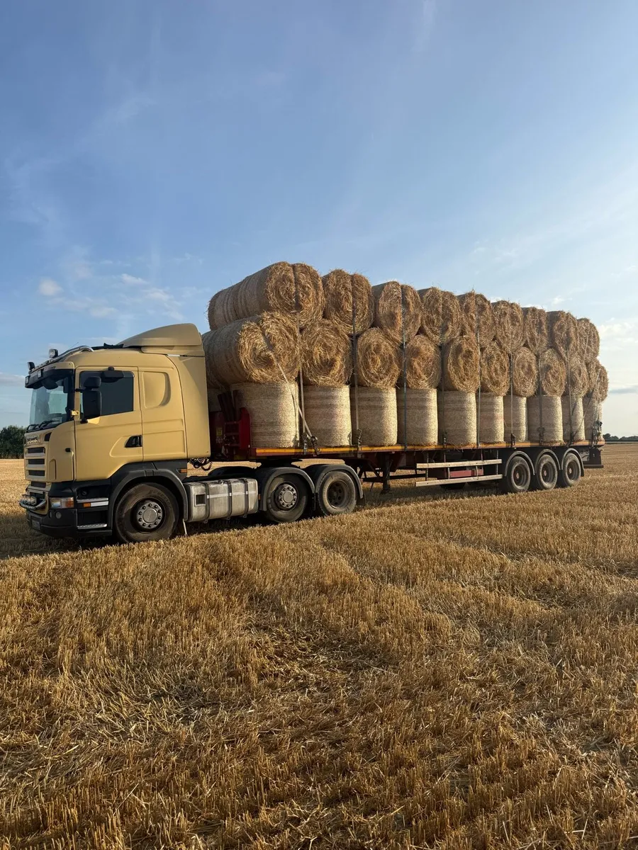Round bales barley - Image 2