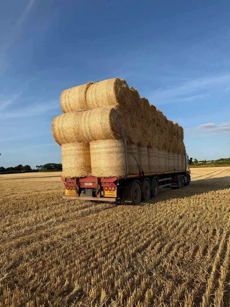 Round bales barley - Image 3