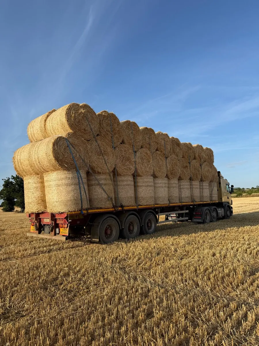 Round bales barley - Image 4