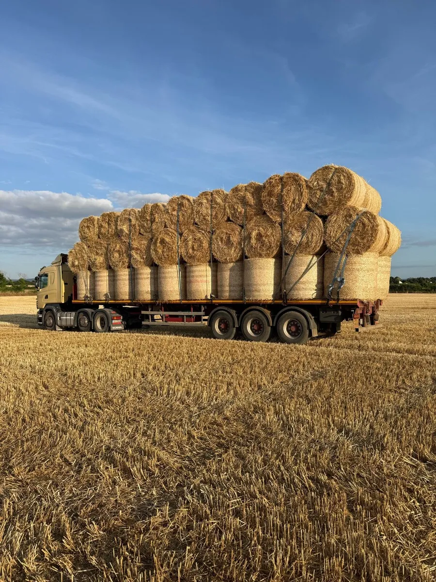 Round bales barley - Image 1