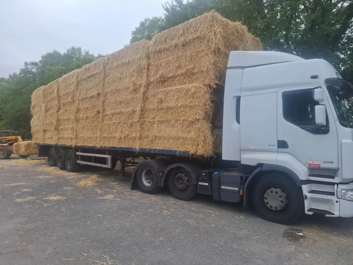 4x4 and squares of barley straw  8x4x3s - Image 3