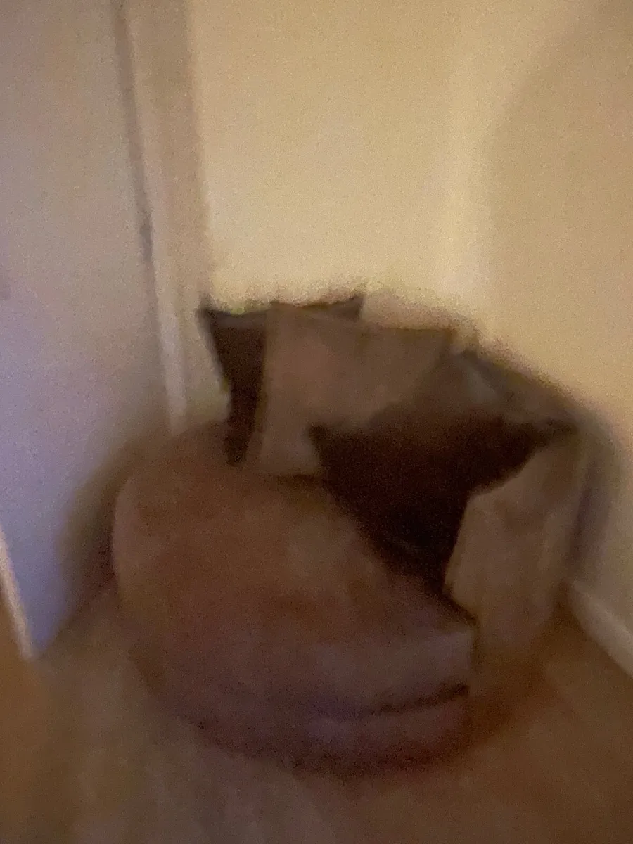 Couch - Image 3