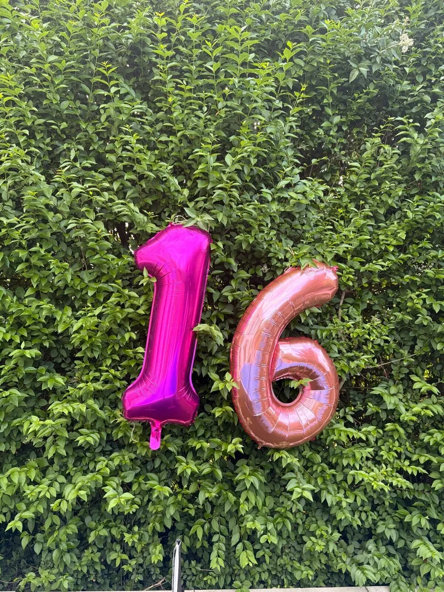 Inflatable balloon (inflated with air) 16