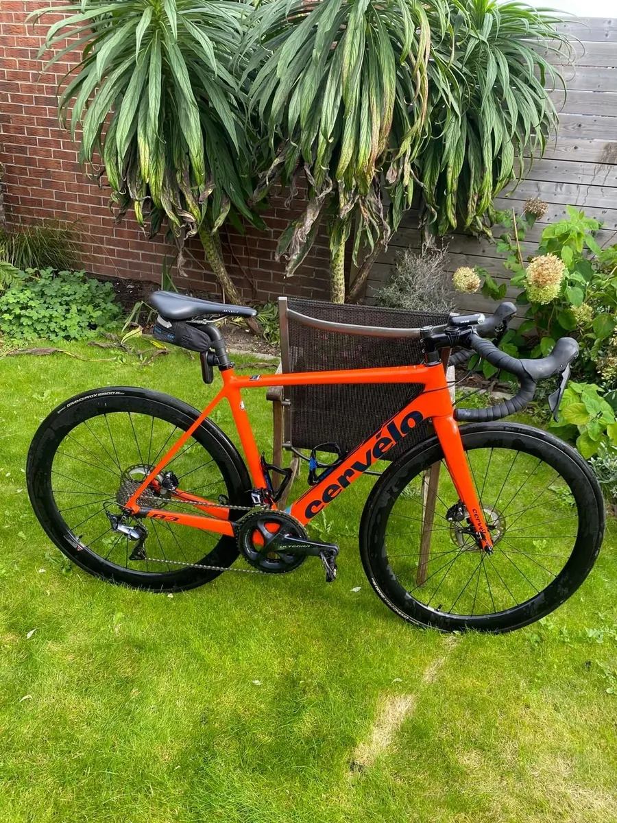 Cervelo R3 Road Bike 2020 (54) - Image 2
